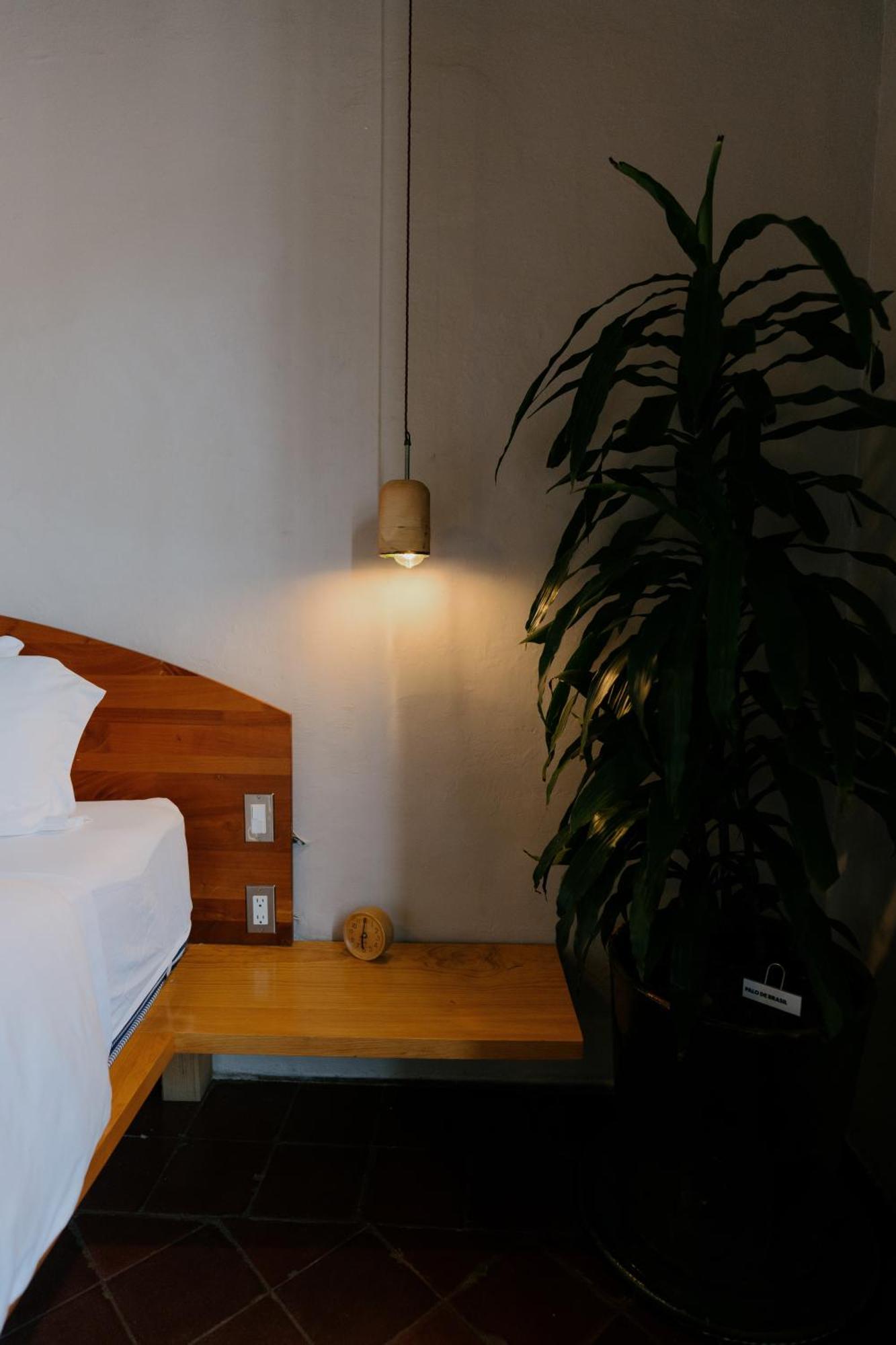 Grana B&B Oaxaca Exteriör bild